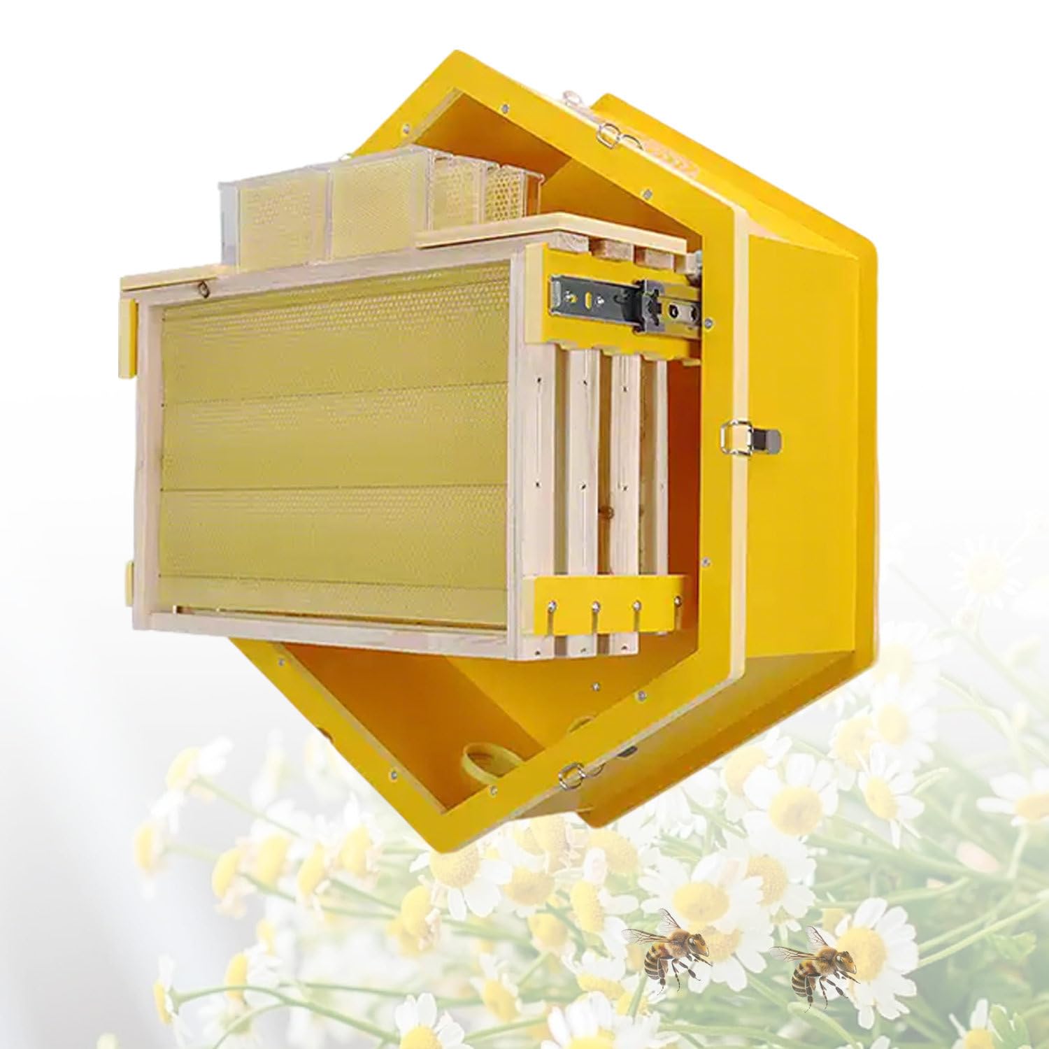 Bienenstock mit Sichtfenster, Wandmontage, 6-Box-Sammelstock für die Ernte von natürlichem Honig und einfache Kolonieverwaltung