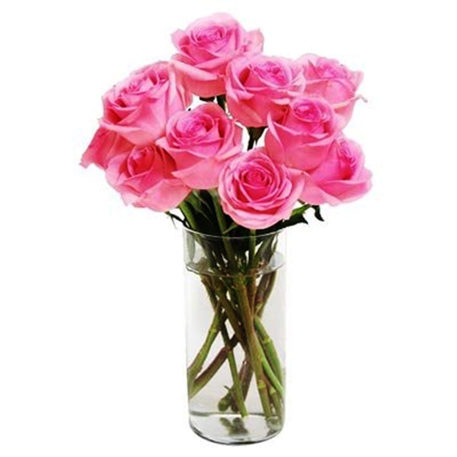 The FloralMart® Valentine's Day Glass Vase Arrangement of Pink Roses Fresh Flowers || Glass (Pink) (10 Rose)-image-28