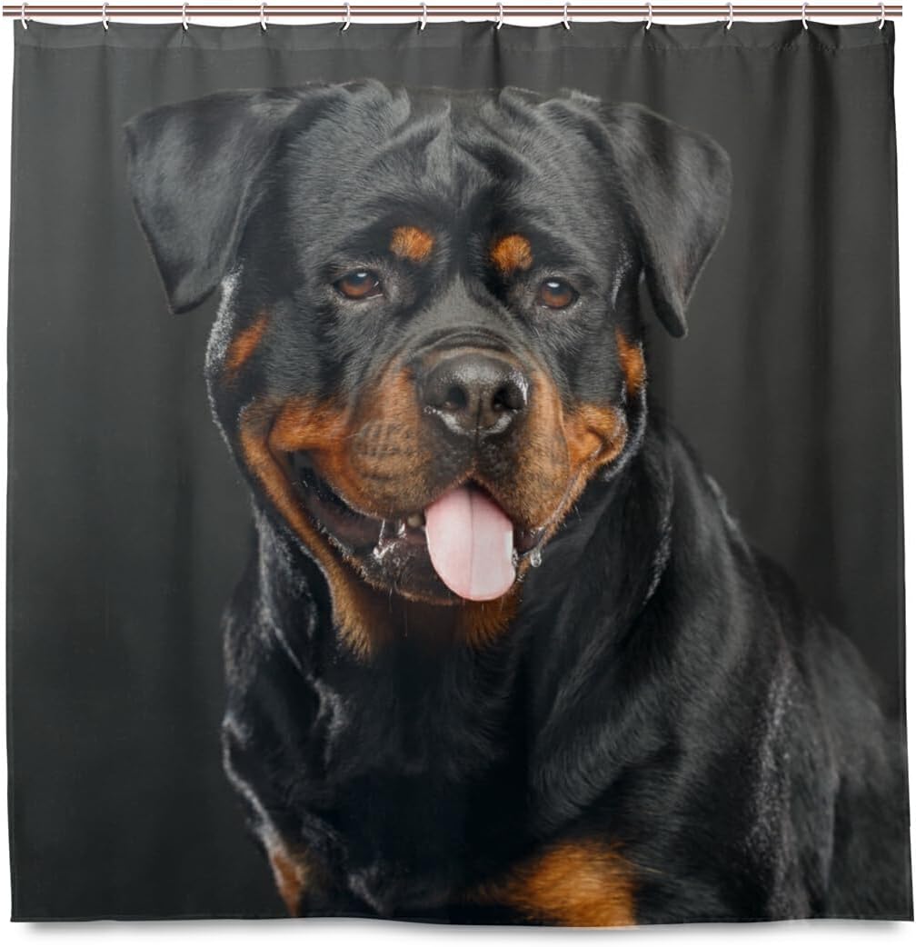 Hokkien Funny Rottweiler Dog Home Decorations Shower Curtain 72 x 72 inch Waterproof Polyester for Bathroom Shower Curtain Set with Hooks
