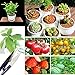 sincerely gift Bonsai Tool Set, Bonsai Trimming Tools Kit Succulent Gardening Tools Set （8 Pieces）