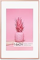 Vista 480 de Fun Memories Portarretratos de metal de 16 x 20 pulgadas con paspartú de 11 x 14 pulgadas, acabado de aluminio cepillado, parte delantera de vidrio