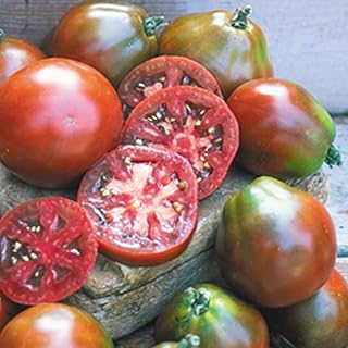 Black Truffle Tomato Seeds (45 Seeds) Seeds for Planting, Farm, Growing in Garden, Greenhouse, Vegetable, Fruit