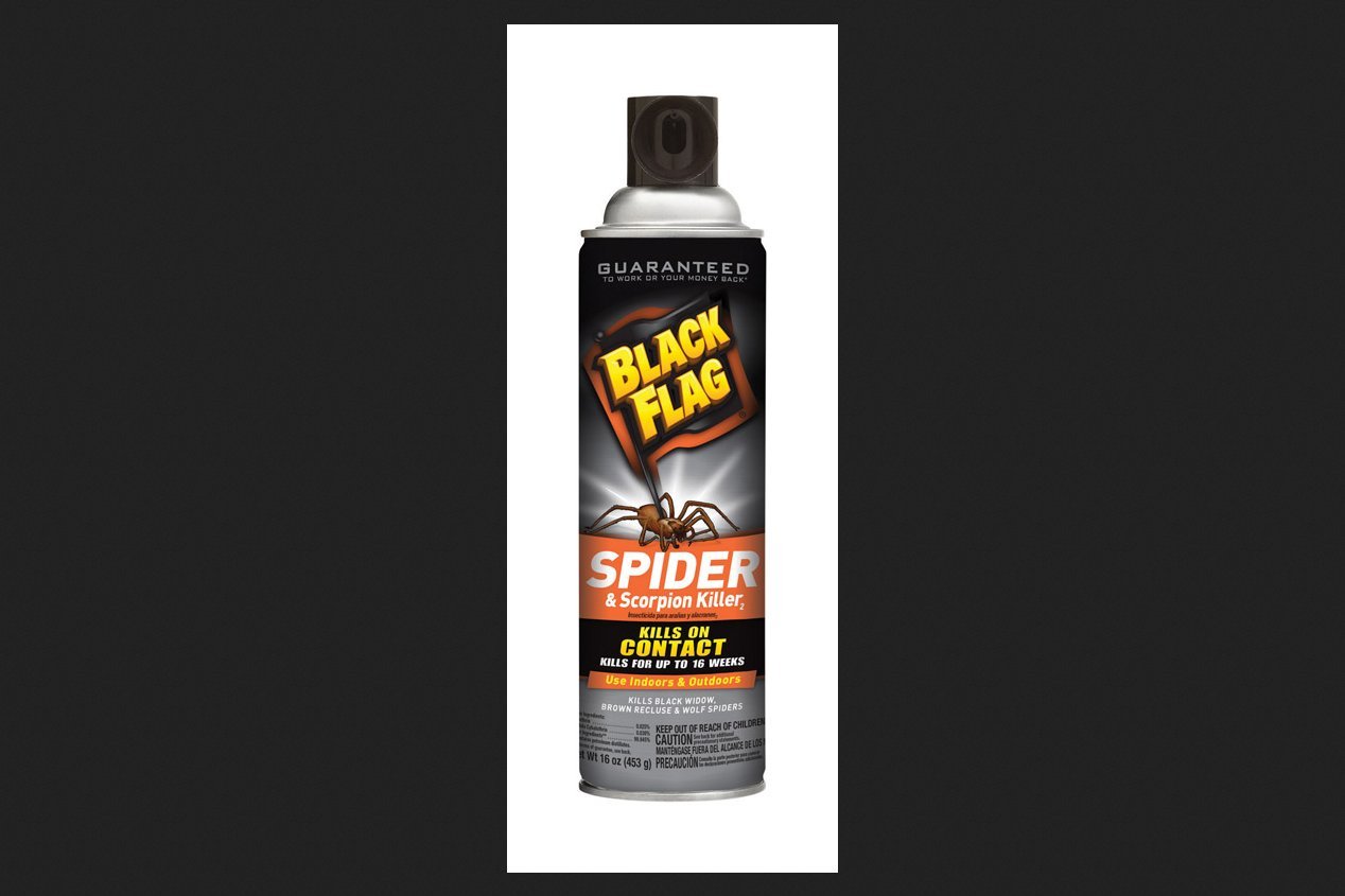 Amazon.com: Black Flag Hg-11027 Spider And Scorpion Killer Aerosol