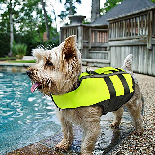 Maillot de bain chien réfléchissant et réglable taille L
