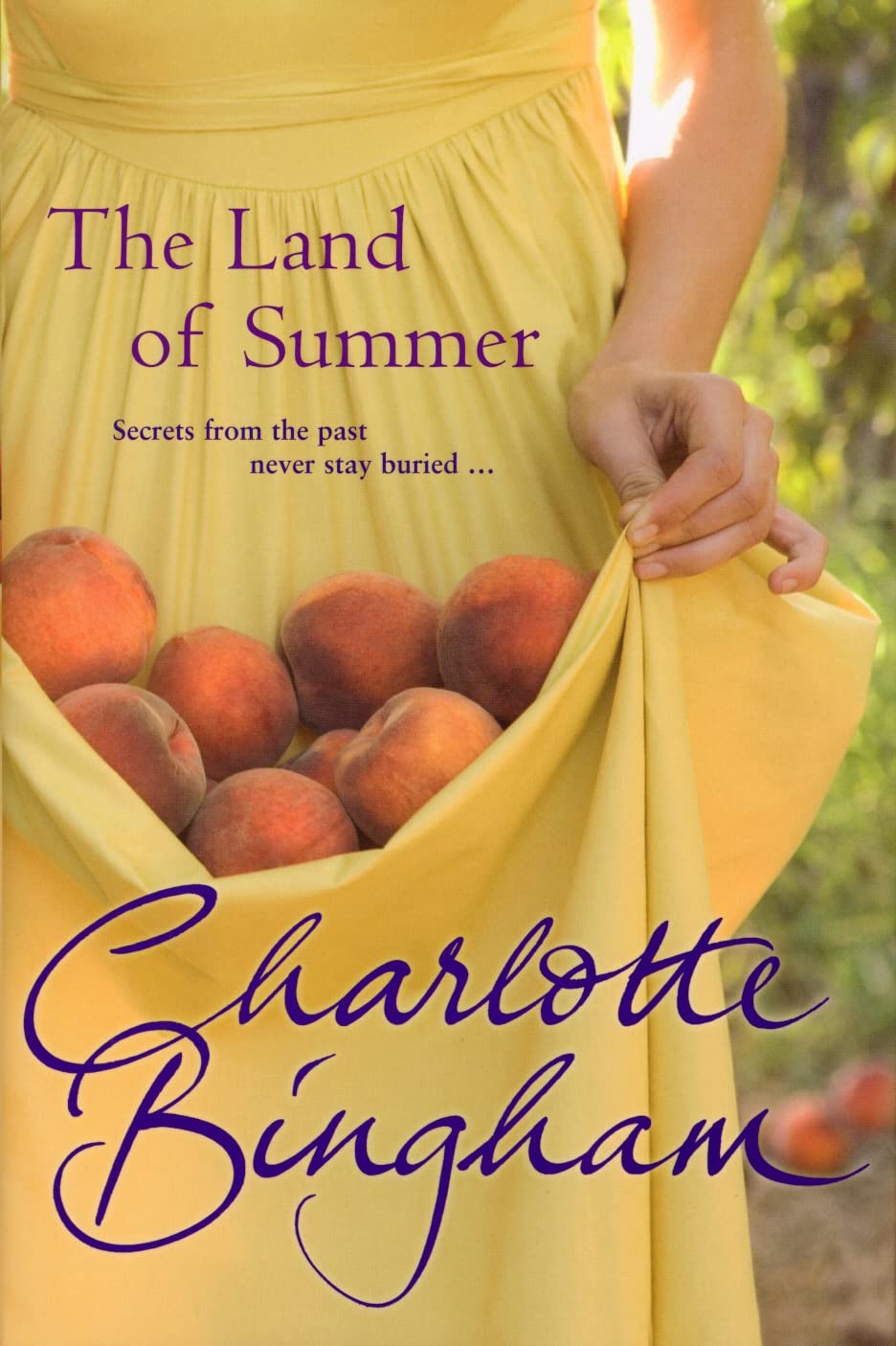 Buy The Land Of Summer — BookShops.in