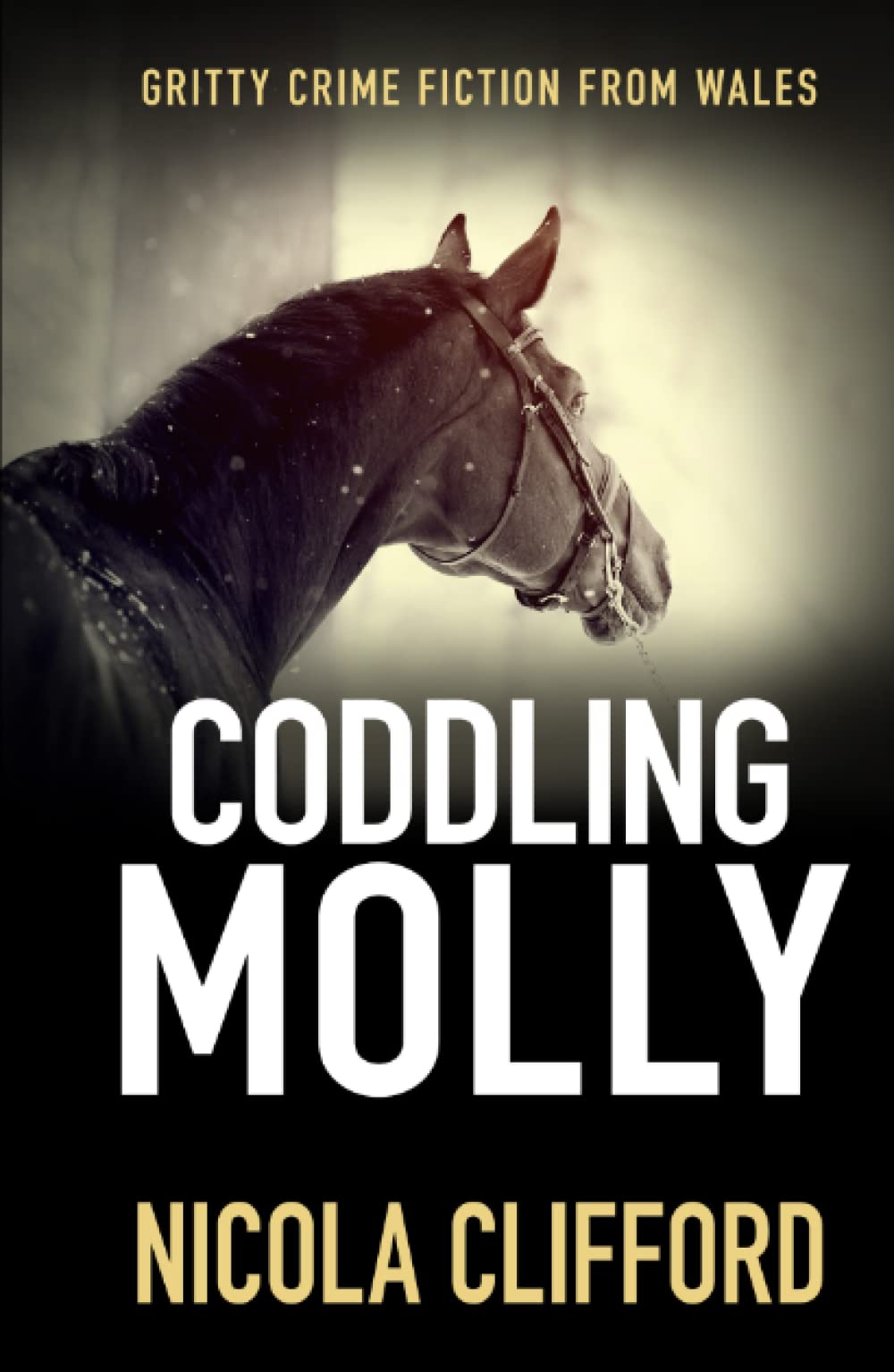 Coddling Molly: Gritty crime fiction from Wales (The Welsh crime mysteries)
