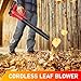 21V Powerful Cordless Leaf Blower,150MPH High Speed, 600CFM Air Volume, 6 Adjustable Speeds for All Cleaning Tasks,Includes 2X 3.0Ah Batteries & Charger for Extended Runtime (Handheld) US Plug