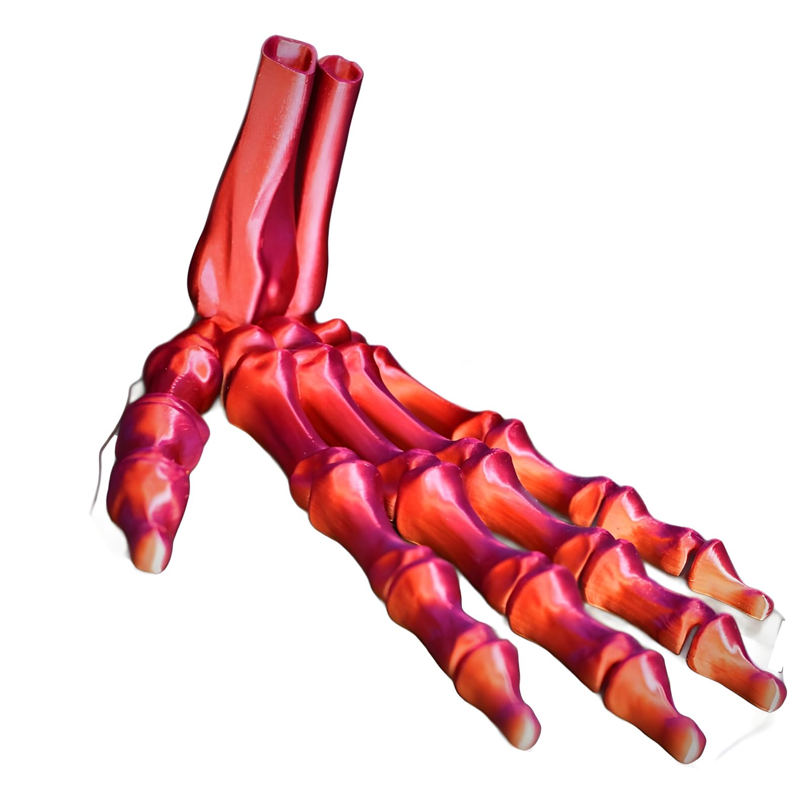 Buxuaaaa Halloween Articulated Bone Hand Ornament Poseable Fingers Human Skeleton Palms Model Desktop Decoration Poseable Printed Skull Hand