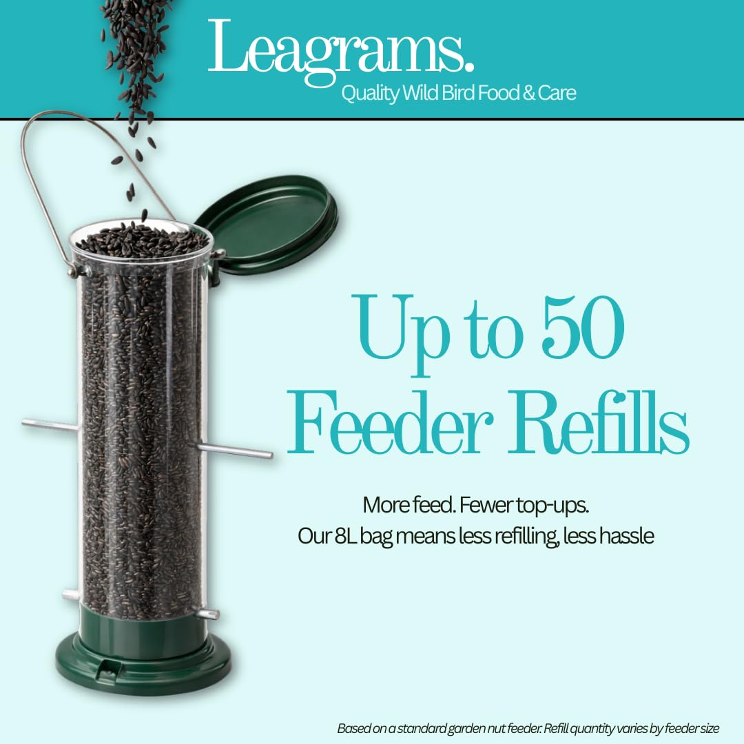 View 3