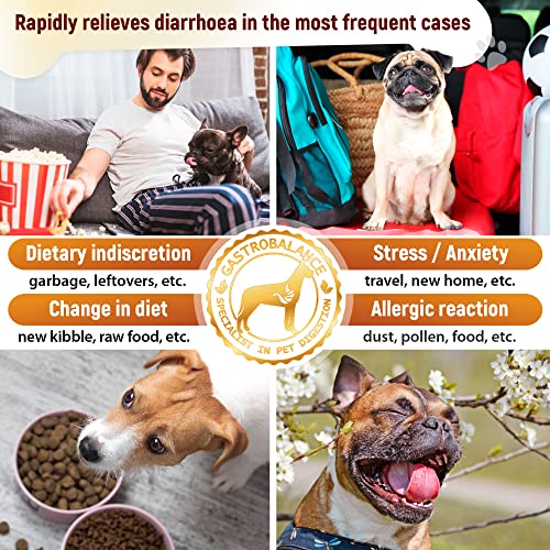 GastroBalance Hund durchfall Stop - Schnell wirkende natürliche Hund durchfall behandlung für kleine Hunde 10 kg - 250 ML