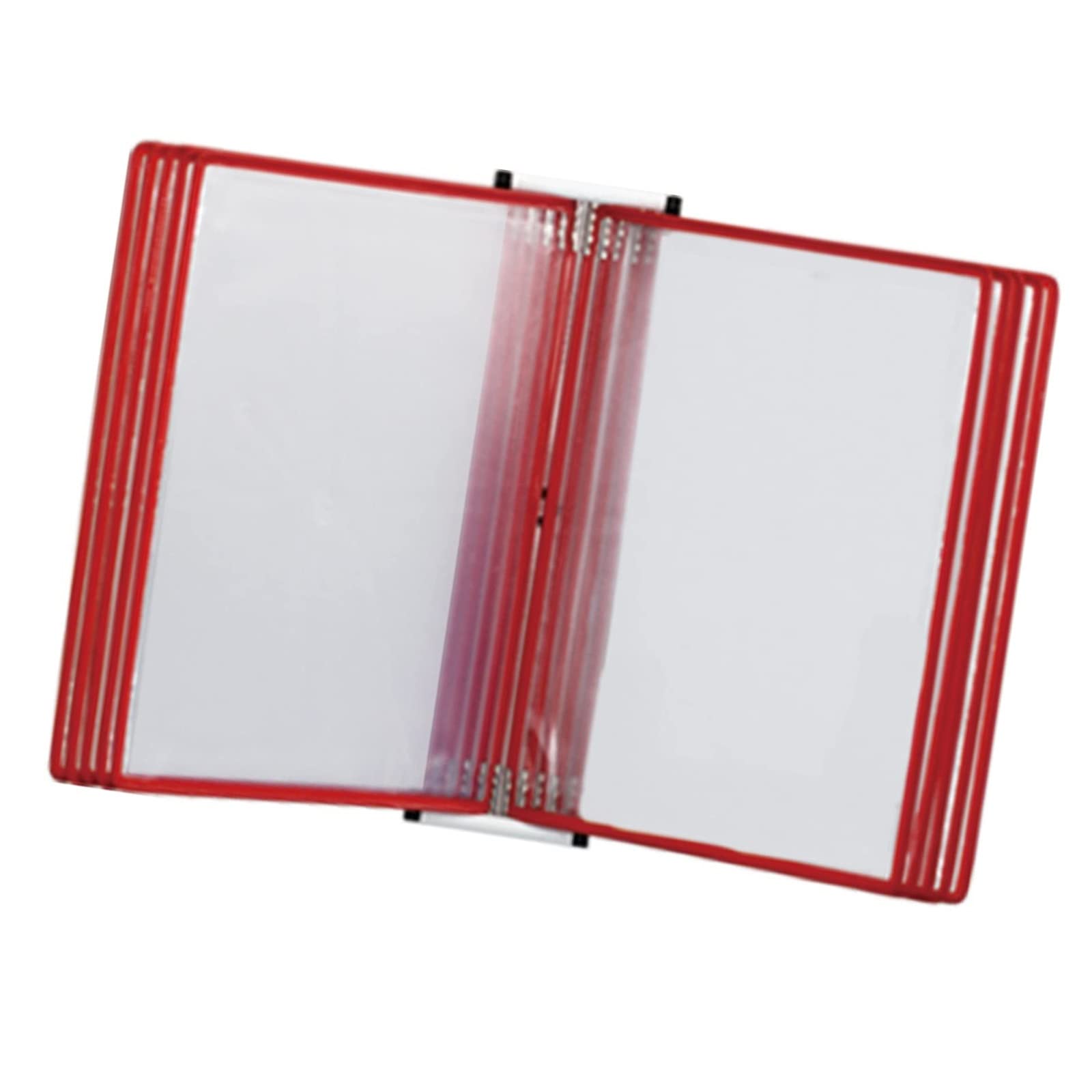 YNIYUJKL Wall Mount Reference Organizer - Catalog Display Rack, A4 Folder Wall-Mounted File Holder, 10 Panels Desktop/Wall Reference System, Poster Flip Book Display,Red