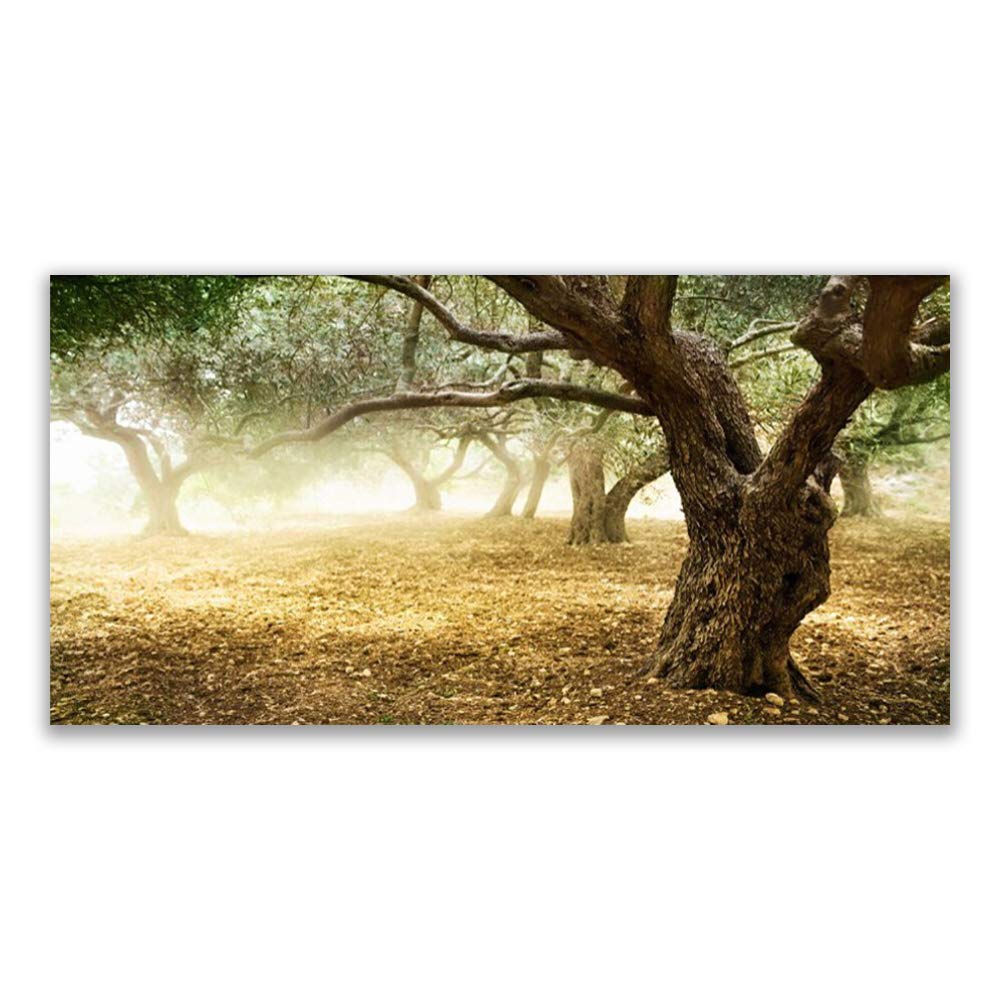 Tableau Mural Moderne Nature Tulup pour Déco Salon Verre Acrylique 140x70cm