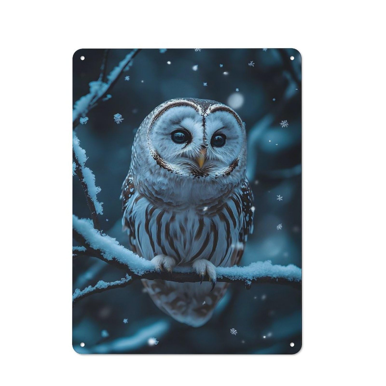 Shed Metal Sign with Snowy Owl Portrait Poster, Picture, Metal Print, Paint by Suiiarts Design 40x30cm, Vintage Porch Wall Decor for Patio Bar, Workshop, Shed Or Kitchen