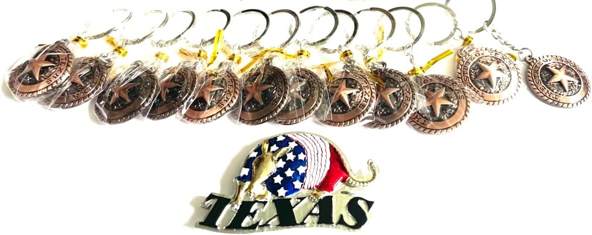 TEXAS Souvenir Bundle Gift Keychain 12 Pack with 1 Free Texas Armadillo Magnet (Texas flag bottle opener keychain)