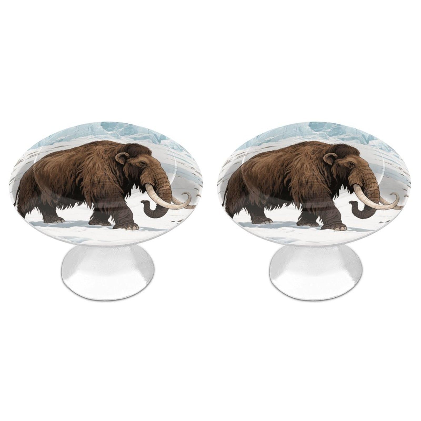 Vstadank Style Mammoth Drawer Knob Nice Bathroom Cabinet Knob Round Cabinet Pull Stainless Steel Cabinet Handle Circle Drawer Handle Modern Drawer Pull For Wardrobe Cupboard 2 Pcs
