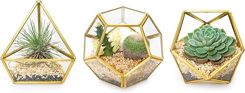 Mkono - Terrario de cristal geométrico macetero moderno para mesa para plantas suculentas de helecho o musgo o plantas aéreas diseño de hadas en