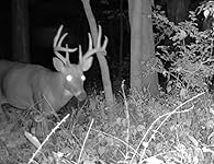 Review Image by Doug Chevile Doug Chevile