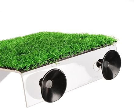 Saim Turtle Basking Platform Acrylic Reptile Ramp with Fake Grass Resting Terrace for Aquatic Turtles, Frogs, Newts, Salamanders and Axolotls - Small