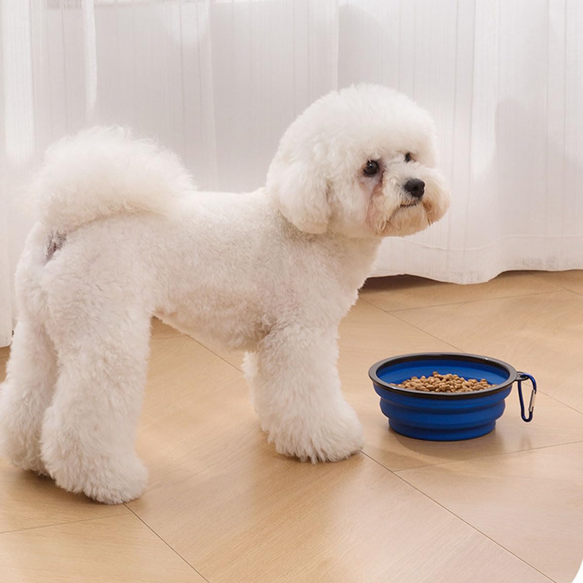Ciotole pieghevoli per cani, 4 pezzi, 350 ml, in silicone espandibile, diametro 14,5 cm, ciotola portatile da viaggio con moschettone, per cuccioli, gatti, escursioni, campeggio