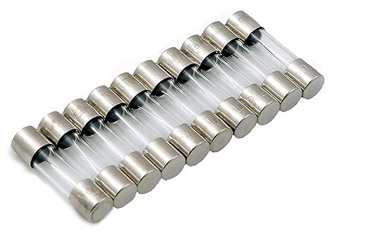 Riyatsthya Glass Fuse 250 v, 6 A Fuse for Extension Board Invertor (10 Piece)