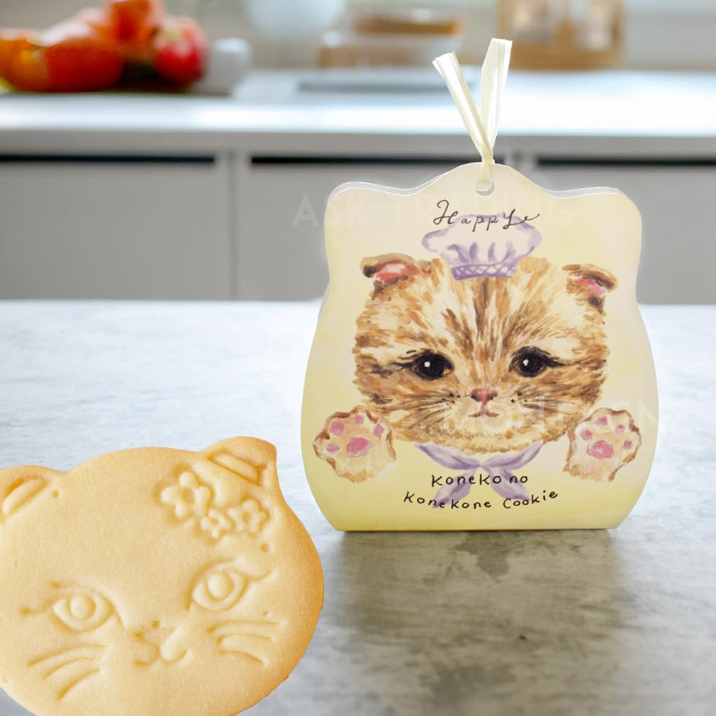 Amazon.co.jp: DADACA こねこのこねこねクッキー 5枚入り×2個セット