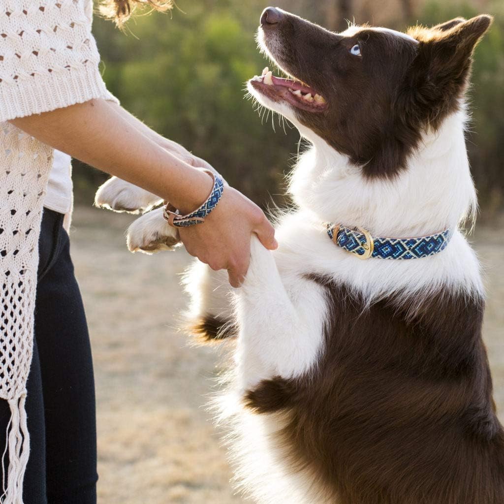 FriendshipCollar Dog Collar and Friendship Bracelet - The Mucky Pup - Large