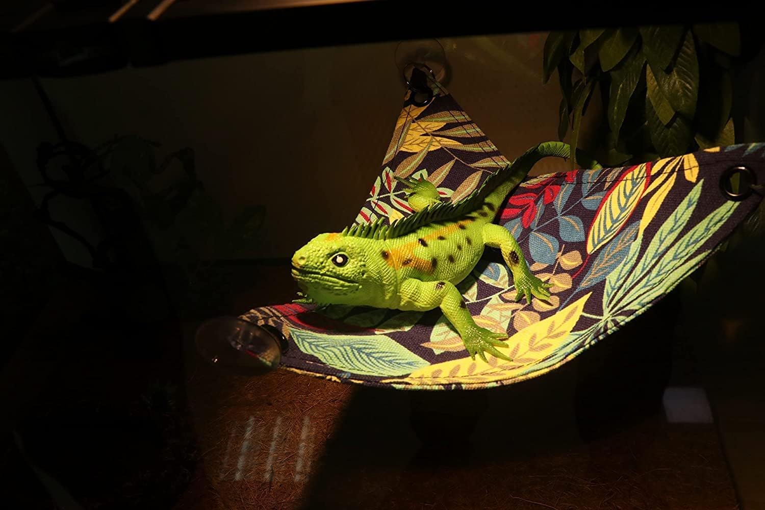 Buy Bearded Lizard Dragon Hammock , Reptile Lizard Lounger, Ladder