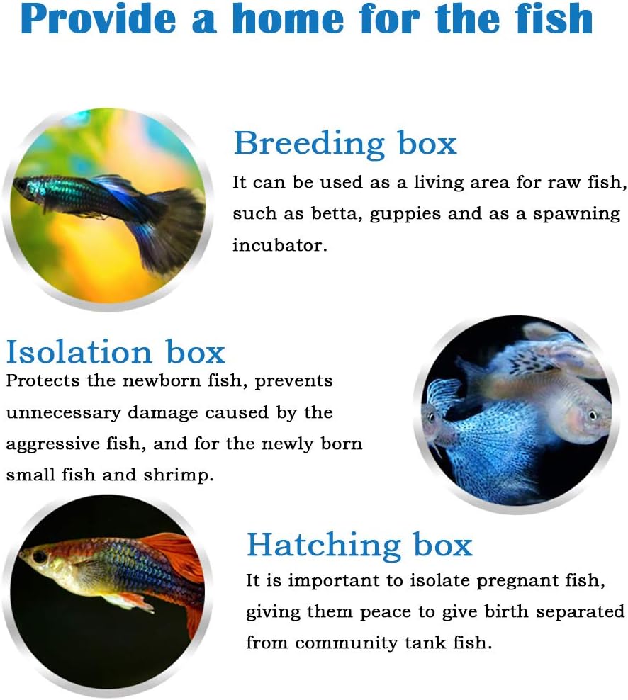 NGe Aquarium Fish Breeder Box, Rectangle Isolation Box, with Adjustable Position Isolation Panel, Hatching Box, Juvenile Fish Spawning Incubator Water Isolation Net Hatchery