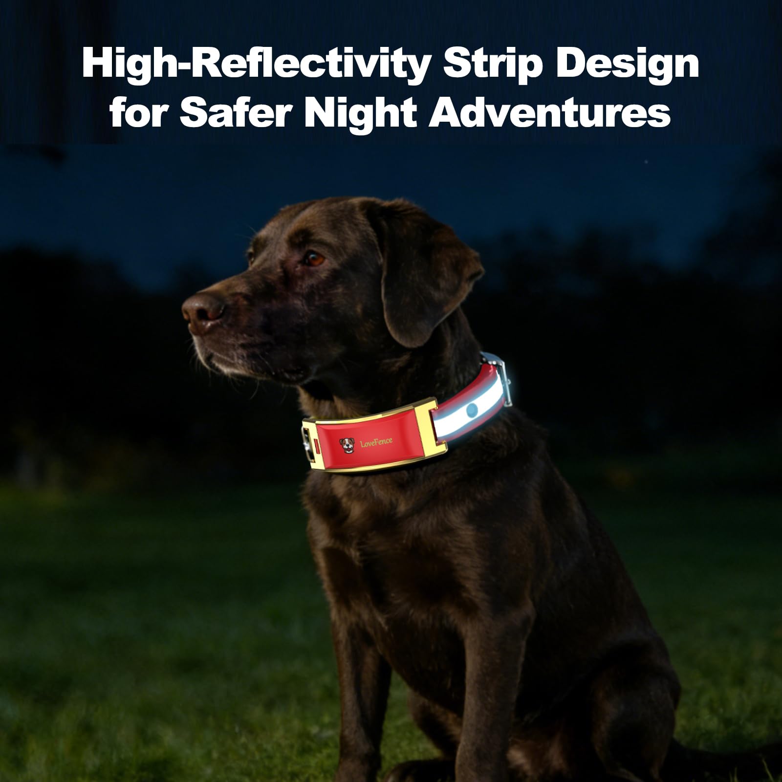 Wireless Electric GPS Dog Collar Fence for Dog with Free App: Upgrade Invisible Pet Shock Barrier Containment System Yard Outdoor Perimeter - Stubborn Dog Train Bluetooth Collar for Dog Parent - image 8