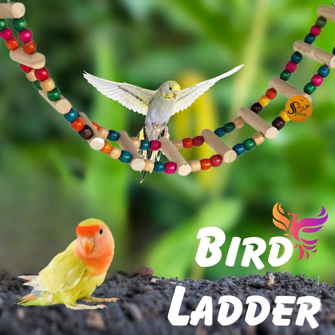Sage Square Bird Cage Hanging Ladder 48cm – Step Up Your Bird’s Fun & Training with This Natural Wooden Rainbow Ladder & Decorative Accessory, Vibrant Wooden Rainbow Ladder and Training Aid
