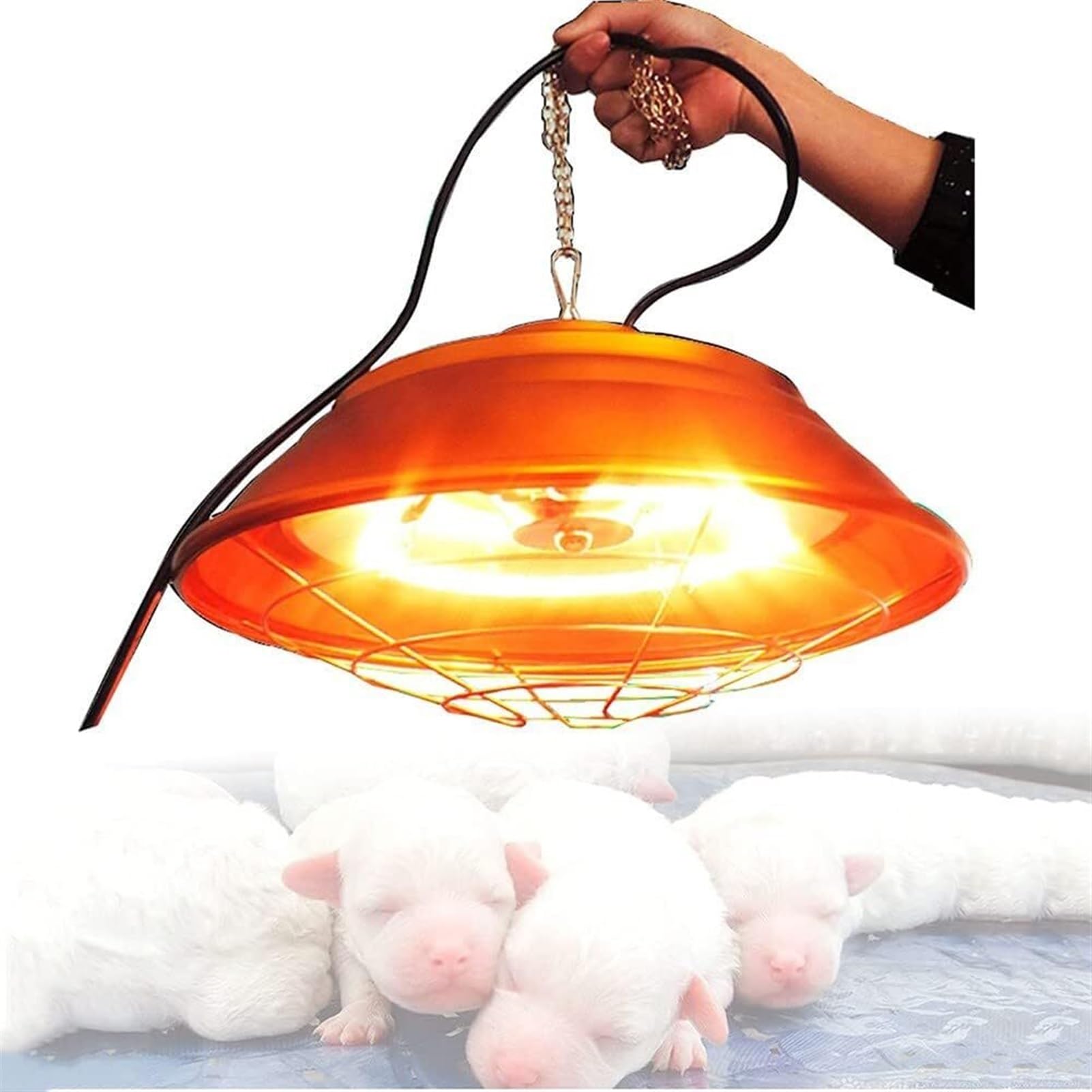 Lampada Riscaldante for Allevatrice di Polli, Lampada for Incubatrice Termica for Pollame, Lampada Riscaldante for Canili for Cuccioli, con Tubo Alogeno e Catena da 2 m for Allevamento/Famiglia ( Size
