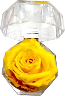 Rose ĂTERNELLE Jaune dans BOĂTE Ă Bijoux. Cadeau Original. Rose Jaune Naturelle prĂ©servĂ©e. DĂ©coration Ă©lĂ©gante. Joli Cadeau, Anniversaire, Anniversaire de Mariage, fĂȘte. Fleurs Jaunes.