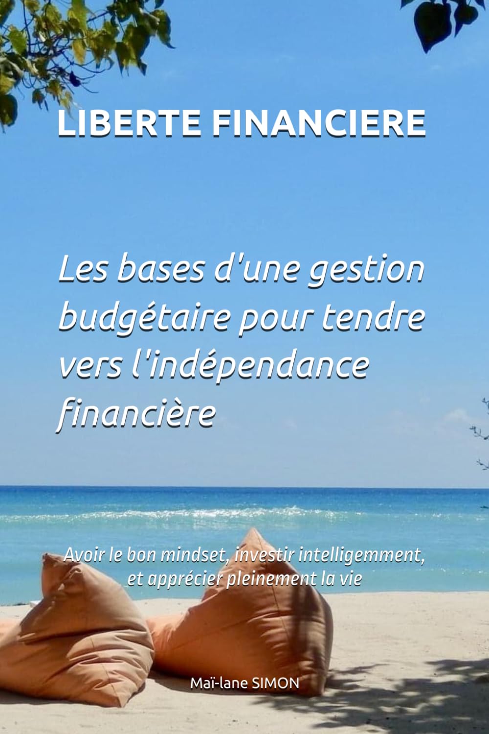LIBERTE FINANCIERE: Les bases d’une gestion budgétaire pour tendre vers l’indépendance financière