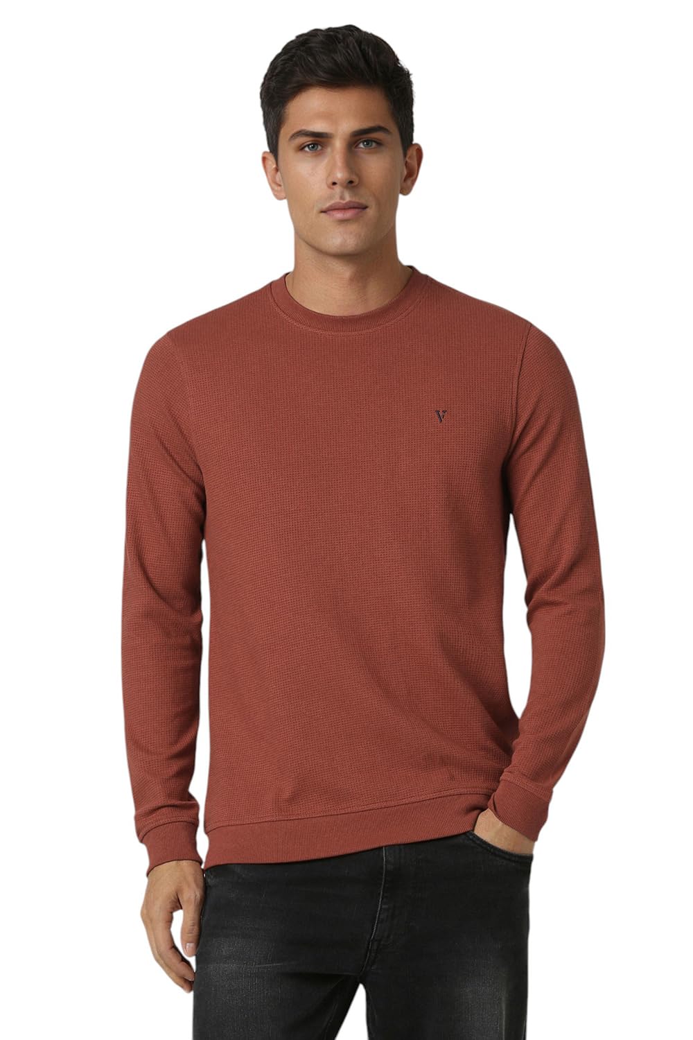 van heusen Men's Cotton Crew Neck Sweatshirt-picture-27