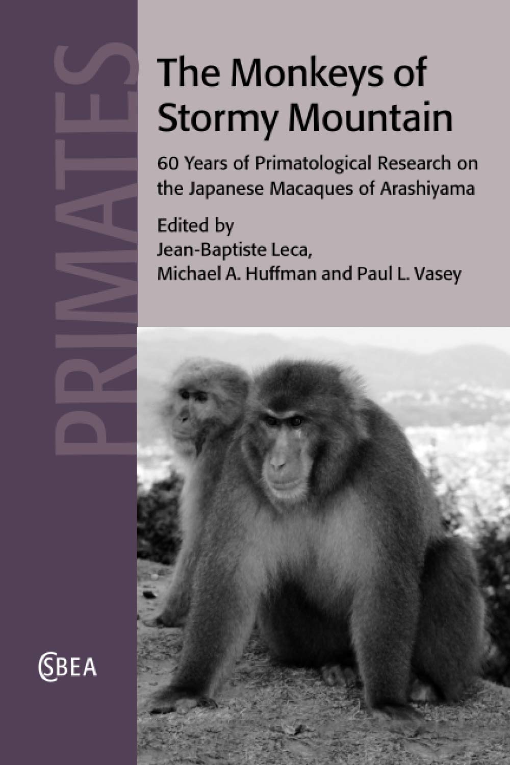 The Monkeys of Stormy Mountain: 60 Years of Primatological Research on the Japanese Macaques of Arashiyama: 61 (Cambridge Studies in Biological and Evolutionary Anthropology, Series Number 61)
