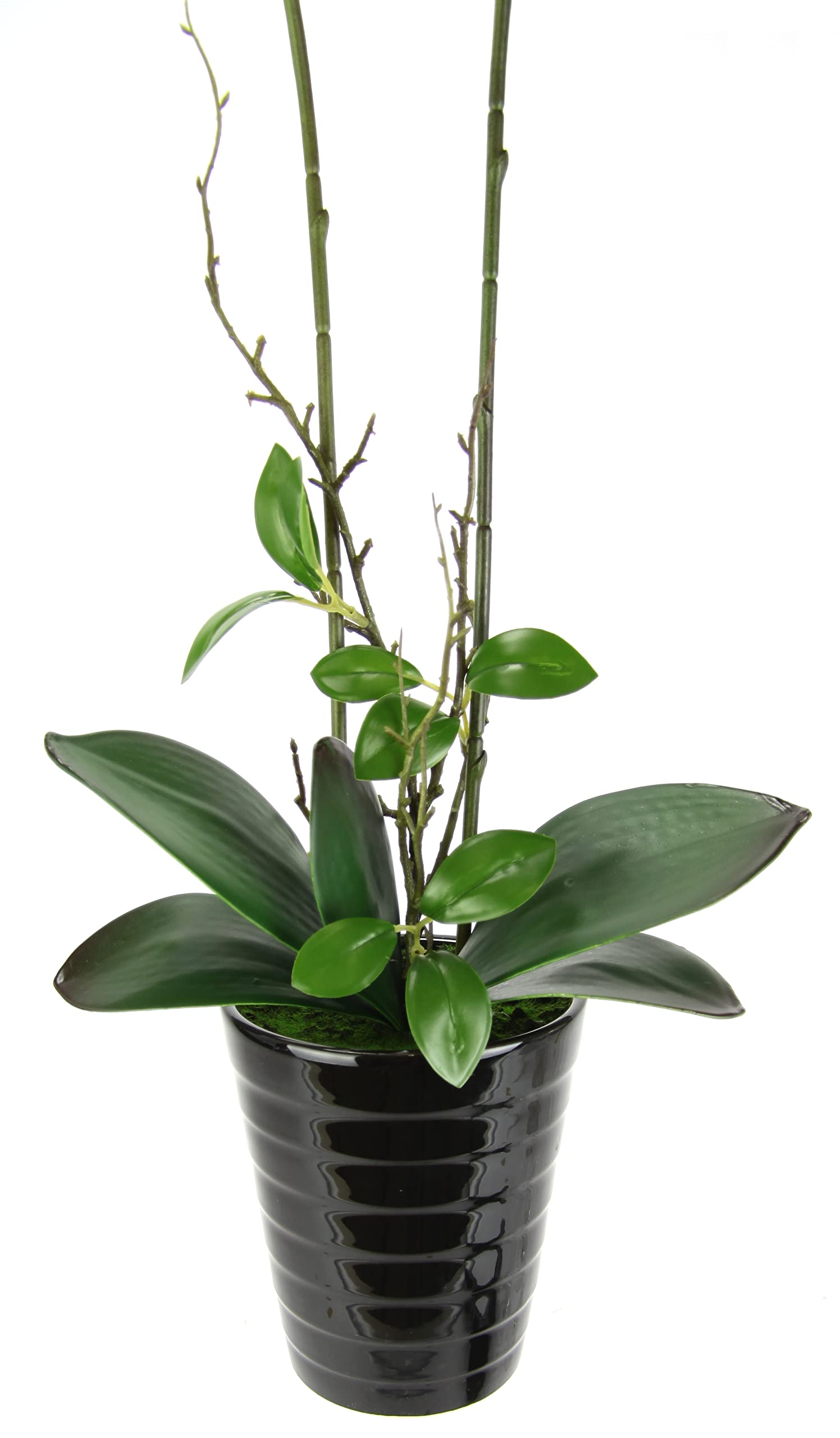 Künstliche Orchidee 58cm im Topf Kunstorchidee Blume Kunstblumen Kunst Orchidee Kunstorchidee Phalaenopsis Kunstpflanze wie echt Hochzeit Deko Seidenblume Real Touch Blüte Tischgesteck Seidenblume