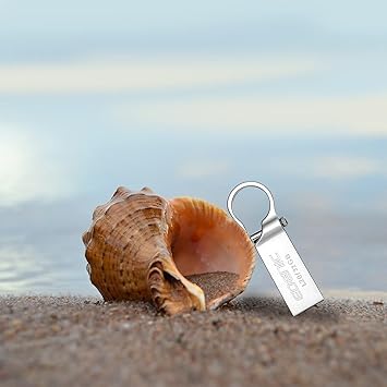 Garv Edenic L20/32GB 2.0 Pen Drive,Flash Drive (Silver)