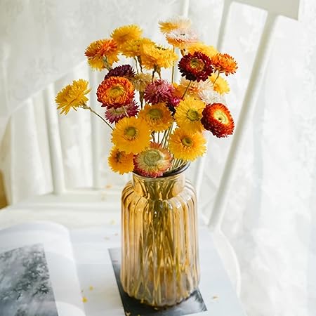 Natural Dried Straw Flowers Daisy -24 Pcs, Multicolor Daisies Artificial Sunflowers Chrysanthemum , Orange Flowers Arrangements for Vase, Home Office Wedding Table Centerpiece Farmhouse Decor