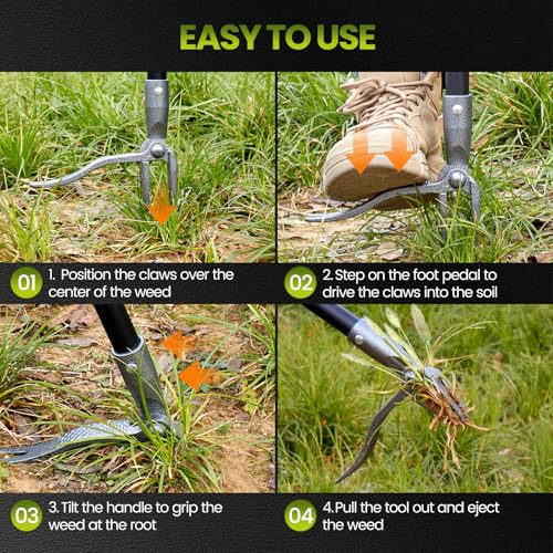 KNLLFolan Weed Puller, Stand Up Weed Puller Tool with Steel Long Handle, 4 Claw Steel Head Weeder Tool, Handle Weeder Tool Without Bending, Pulling, or Kneeling by KNLLFolan - Used condition - Image 3