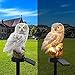 Produktbild Wankd Solar Eule Licht, Solarleuchte Garten, LED Solar Garten Lampen IP44 Wasserdicht Wegeleuchte/Stehleuchte Draussen Dekorative für Hinterhöfe, Gärten, Rasen (weiß)
