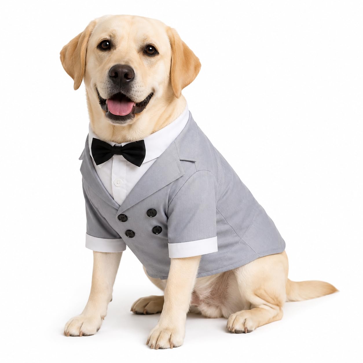 Lovelonglong Pet Costume Dog Suit Formal Tuxedo with Black Bow Tie for Large Dogs Golden Retriever Gray L-XL — image 1