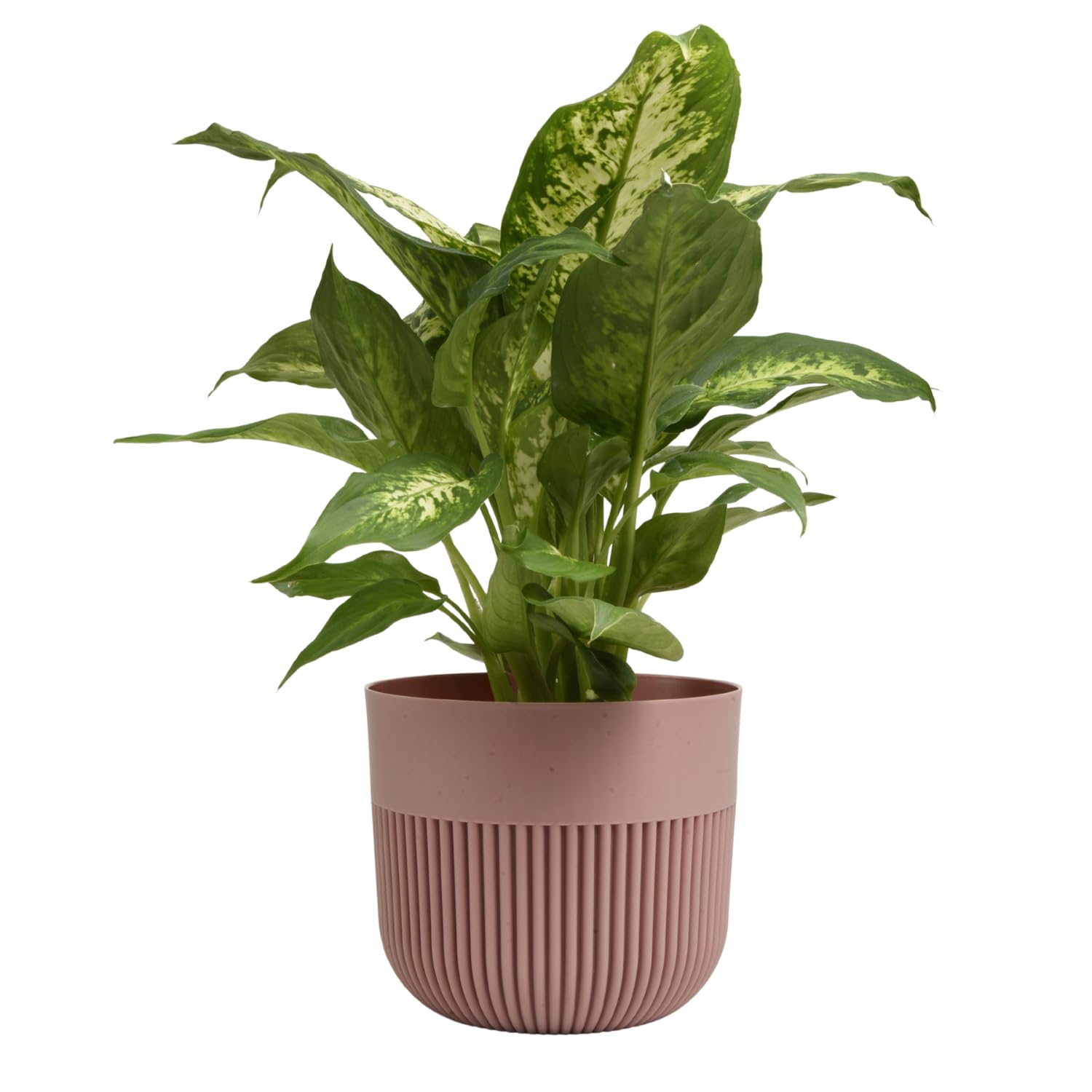 B2C Matt Ribbed Flower Pot – Modern Plastic Planter for Indoor & Outdoor Plants, Herbs & Succulents – Lightweight, Durable, Easy-Clean Design – Multiple Sizes & Colours (Powder Pink, 15cm)