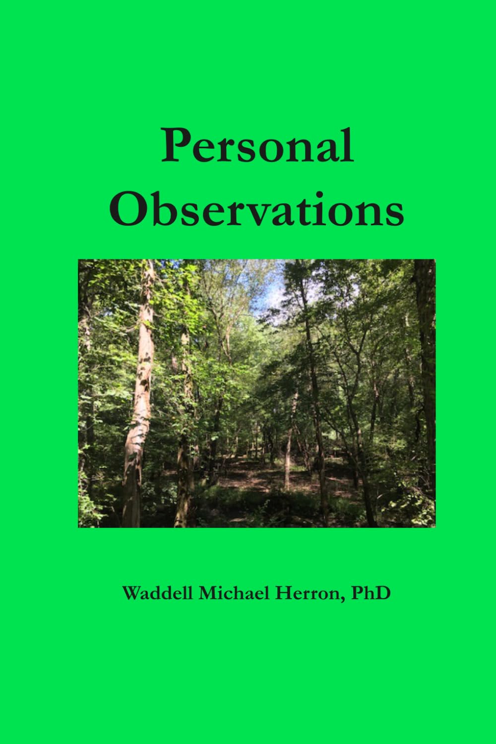 Personal Observations: A Collection Of Poetry, Prose, And Lyrics