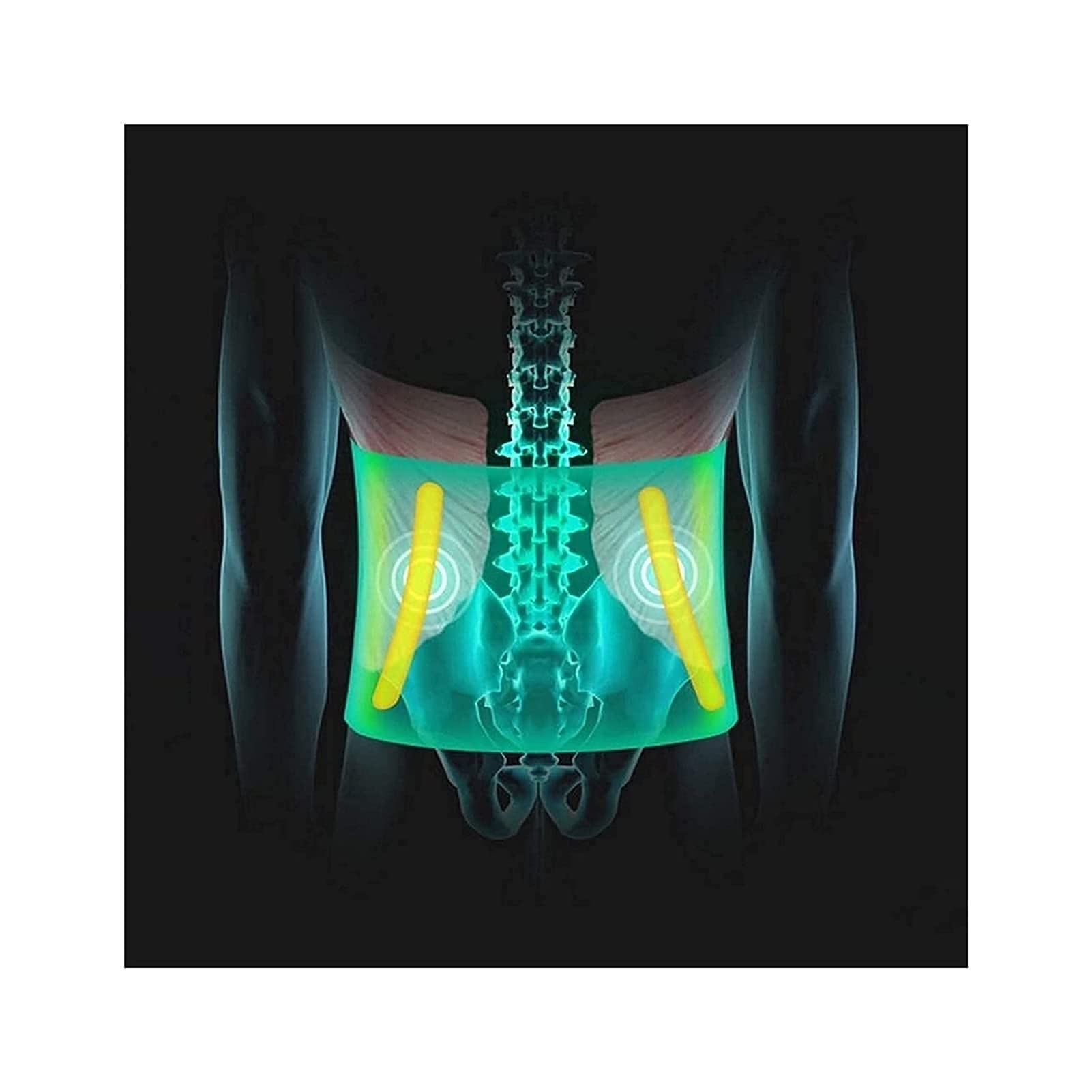Calentamiento automático Espalda Brace Cinturón de Soporte Lumbar Brace de Espalda Baja Alivio del Dolor para Mujeres Hombres Hernia de Disco Ciática Escoliosis con extraíble ()