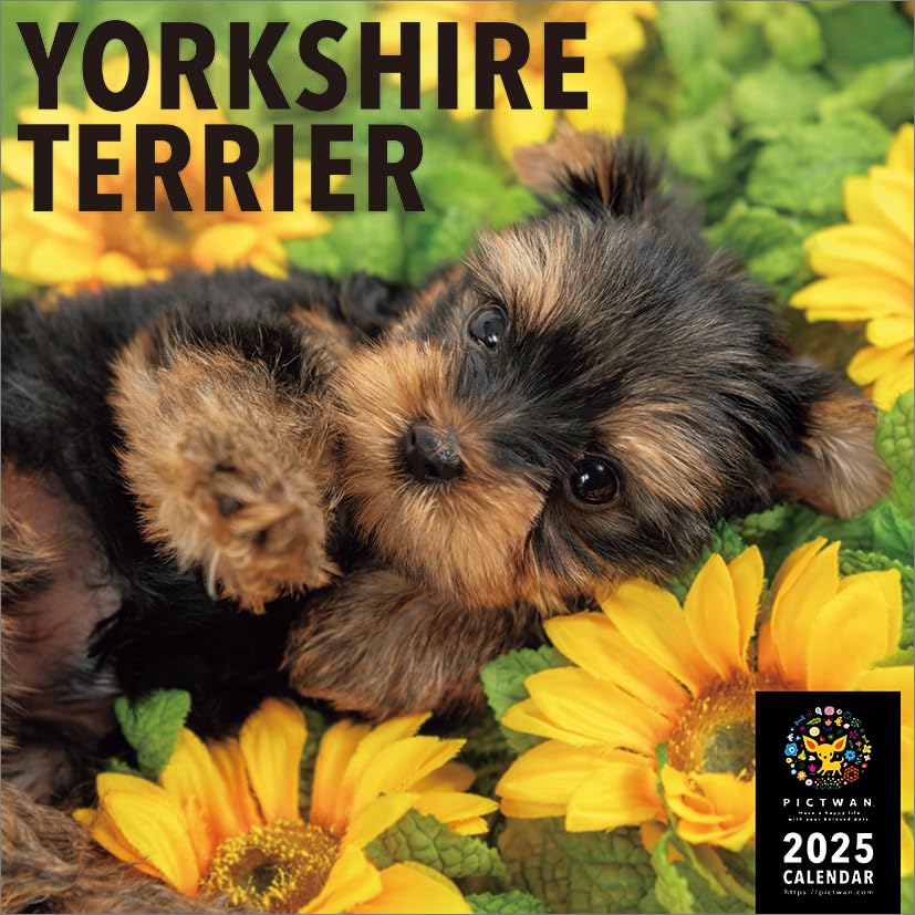 WAKO ブロンズ？　ヨークシャーテリア　リード付き WAKO ブロンズ？ ヨークシャーテリア リード付き WAKO ブロンズ