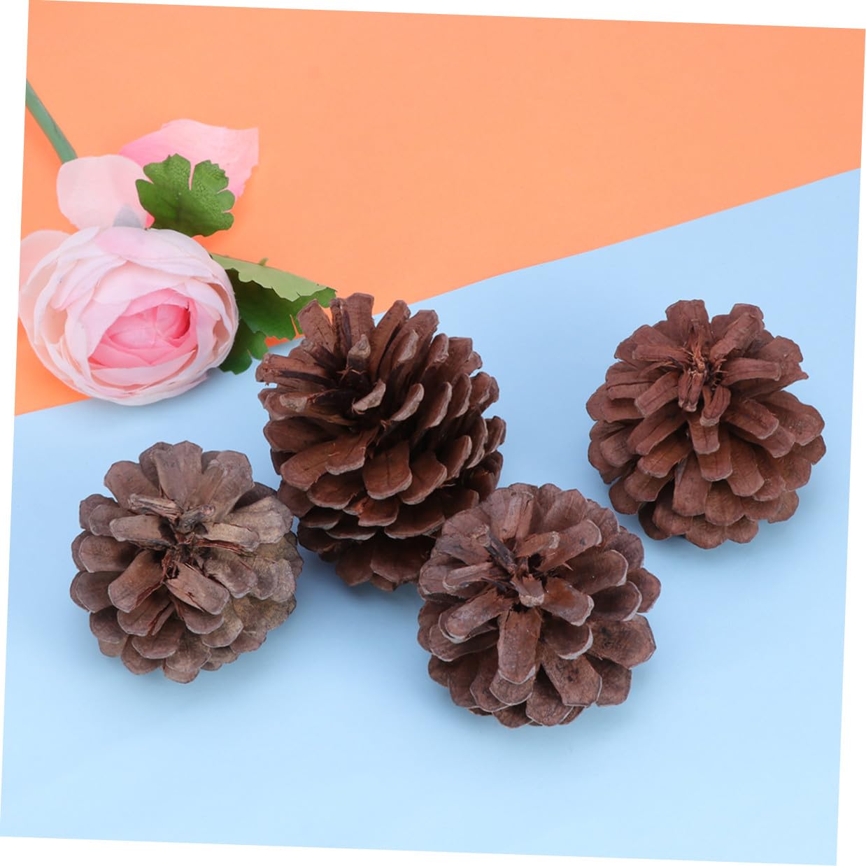 Pigne Natalizie Decorative 50 Pezzi 6-8cm in Pigne Naturali | Albero di Natale e Tavola, Uso Ripetuto, Atmosfera Festiva Invernale, Addobbi per Vetrina