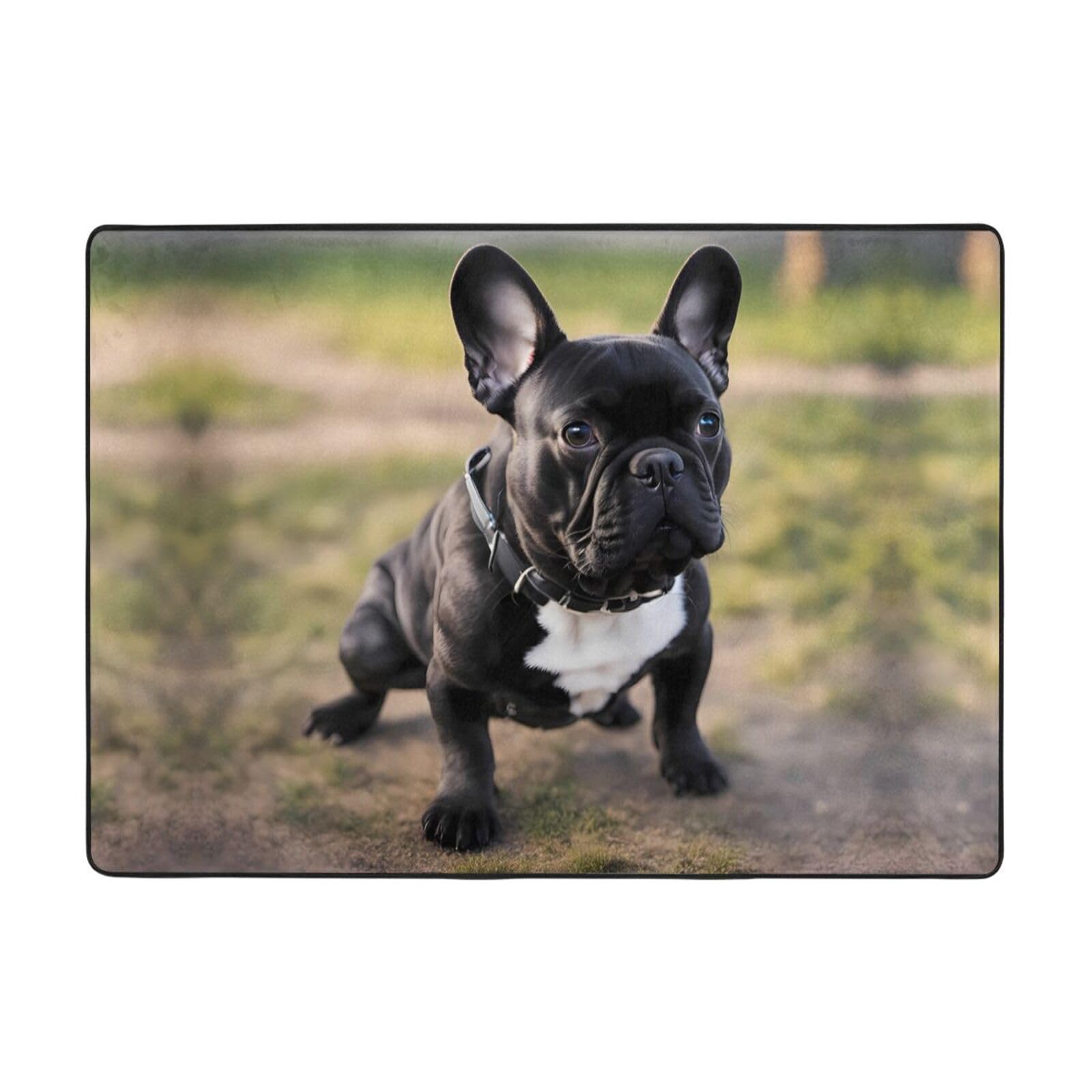Tapis bouledogue français doux HYTTER une touche d'amour à la maison