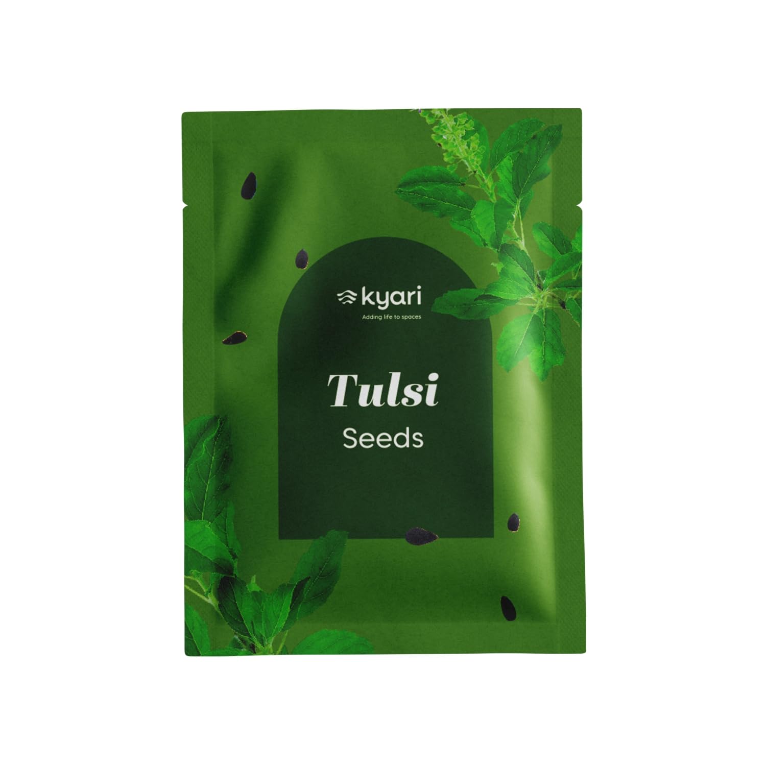 Kyari Tulsi Holy Basil Seeds for Planting - High Germination Herb Seeds for Home Garden, Kitchen Garden, Balcony, Terrace, Grow Bag, Pot - Suitable for Indian Climate - Pack of 1-image-5