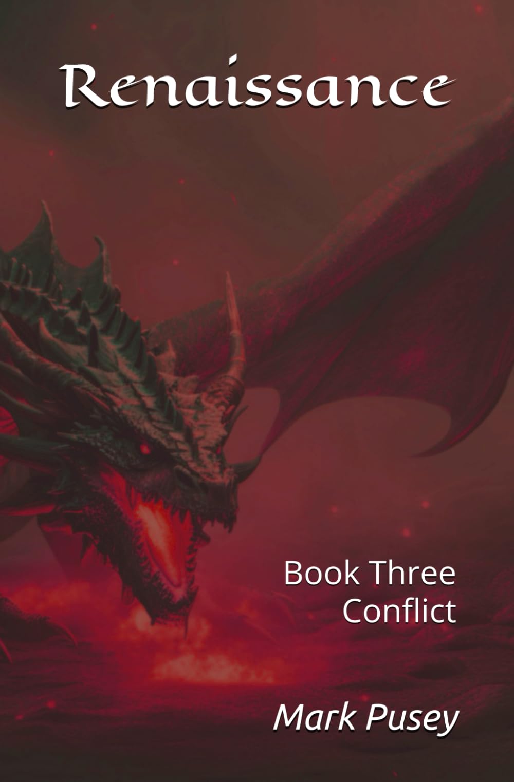Renaissance: Conflict Book Three