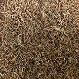 Finest Alimento de pescado 50 g congelado seco gusano de sangre comida para peces de acuario